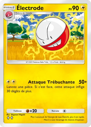 Électrode