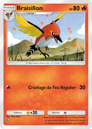 Braisillon
