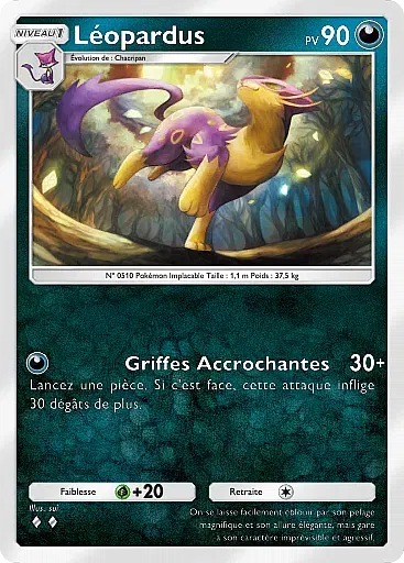 Léopardus
