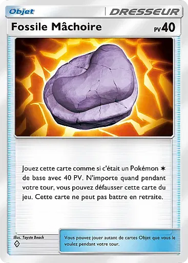 Fossile Machoire