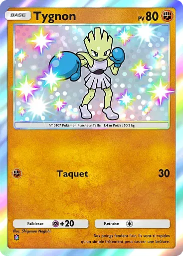 Tygnon