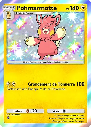 Pohmarmotte