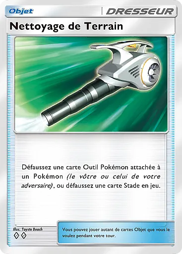 Nettoyage de Terrain