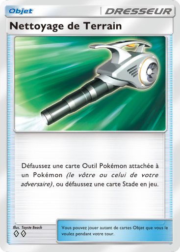 Nettoyage de Terrain