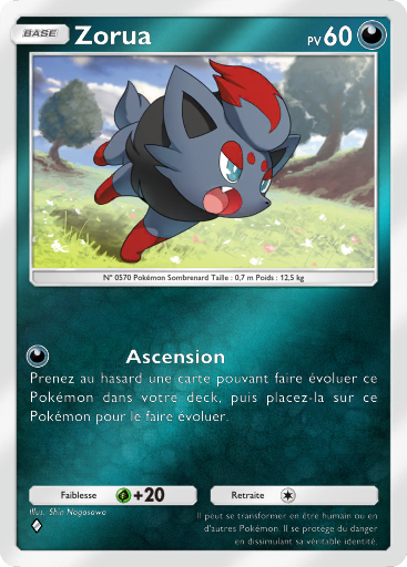 Zorua