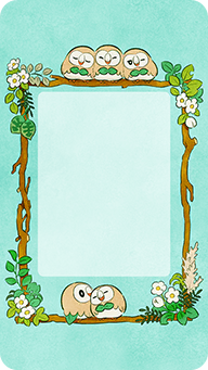 Arrière-plan — Rowlet