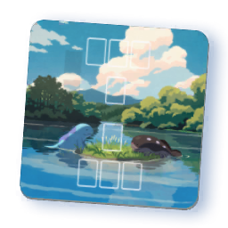 Tapis de jeu — Maraiste & Terraiste